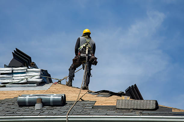 Professional Roof Replacement technician working in Albin, WY
